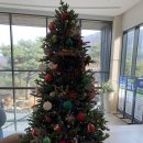 성종두담길 | 대영힐스 CC 주말 방문기 ⛳