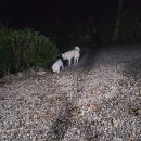 산골초가 이미지