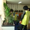 강서구종합사회복지관 이미지