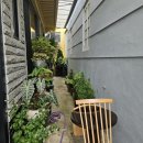 하대동103 | [진주 카페] 진주 하대동 꽃차와 다과 한 상이 있는 한식 디저트 카페 늘새솔