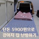 뭉치켄넬 이미지