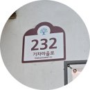 인덕농장 | 곡성 세계장미축제 아이들과 방문 후기 일정 및 주차 꿀팁