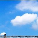 빨리빨리세탁소 이미지