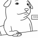 메디뱅크