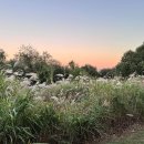 공항교강변공원 이미지