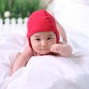 최유신 Daum카페