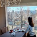 호중정원 | <삼청동 카페 호중정원> 정말 조용하고 분위기 좋은 삼청동 카페