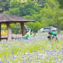 호동골공원 이미지