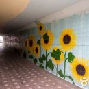 진필환경 이미지