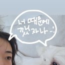 지*기