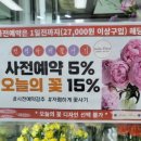 젤라플레르