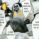 스토리한 이미지