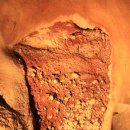 혹불이 영감 이미지