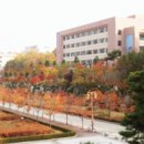 패러다임교육 이미지