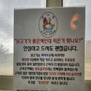 종가집토종닭 이미지