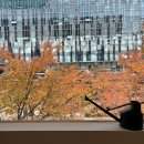 판교삼성정신건강의학과의원 이미지