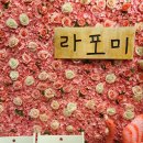 라포미 이미지