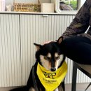 세우리동물병원 이미지