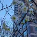 달빛영어학원 이미지