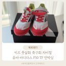 한경체육관 인조잔디구장 | 키즈 풋살화 축구화 차이점 유아 아디다스 F50 TF 손흥민 축구화