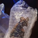 무진목욕탕 | 20250914뮤지컬 노트르담드파리 후기(스포유)