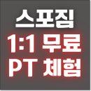 뉴텍시스템 | 신정동 헬스장 뉴텍 토크라인 엠 토쳐 벤트오버 로우 뉴머신 입고