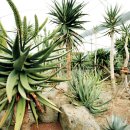 불로초교 이미지