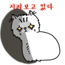 루린헤어