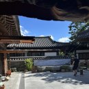 전주전통술박물관 | 전주전통술 박물관 방문 리뷰/시음 후기