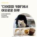 디어멍멍 | 디저트가 맛있는 디어피피 카페 방문 리뷰