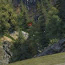 호야 PC월드 이미지