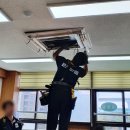 대저초등학교 이미지