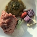 마이펫미트 이미지