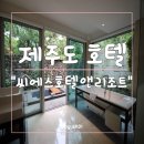 Y대청호텔 | 제주도 호텔 씨에스호텔 앤 리조트 로얄스위트룸 후기♬