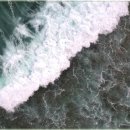 차를 좋아하는 사람들 이미지