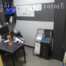 핑다이어트 네이버블로그