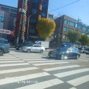 서여고 앞 이미지