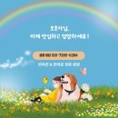 멍냥스타 강아지분양 고양이분양 이미지