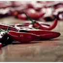 고모농장 이미지