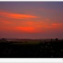 해바라기농장 이미지