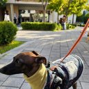 고랑두랑 이미지