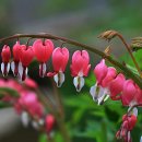 좋은날들 이미지