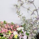 블리스풀헤어 | 인생사진 건진 후기 강남사진관 블리스풀 스튜디오