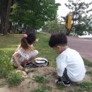 하동포구공원2 이미지