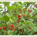 매산1동 이미지