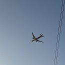 [근황과 급제주 1-2일차] 해칭룸아카이브세일후기｜룩트공구구매｜칠가이｜건대릴리베이커리｜회기골목...