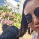 11650-7-6-3 | 인생여행지로 등극한 치앙마이 나홀로 6박7일 후기 -3- (하이드랜드, 코끼리 정글 투어)