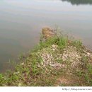 새물낚시터 이미지