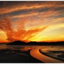 순천만습지 이미지