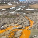 녹슨 듯 주황빛 된 알래스카 강 이미지